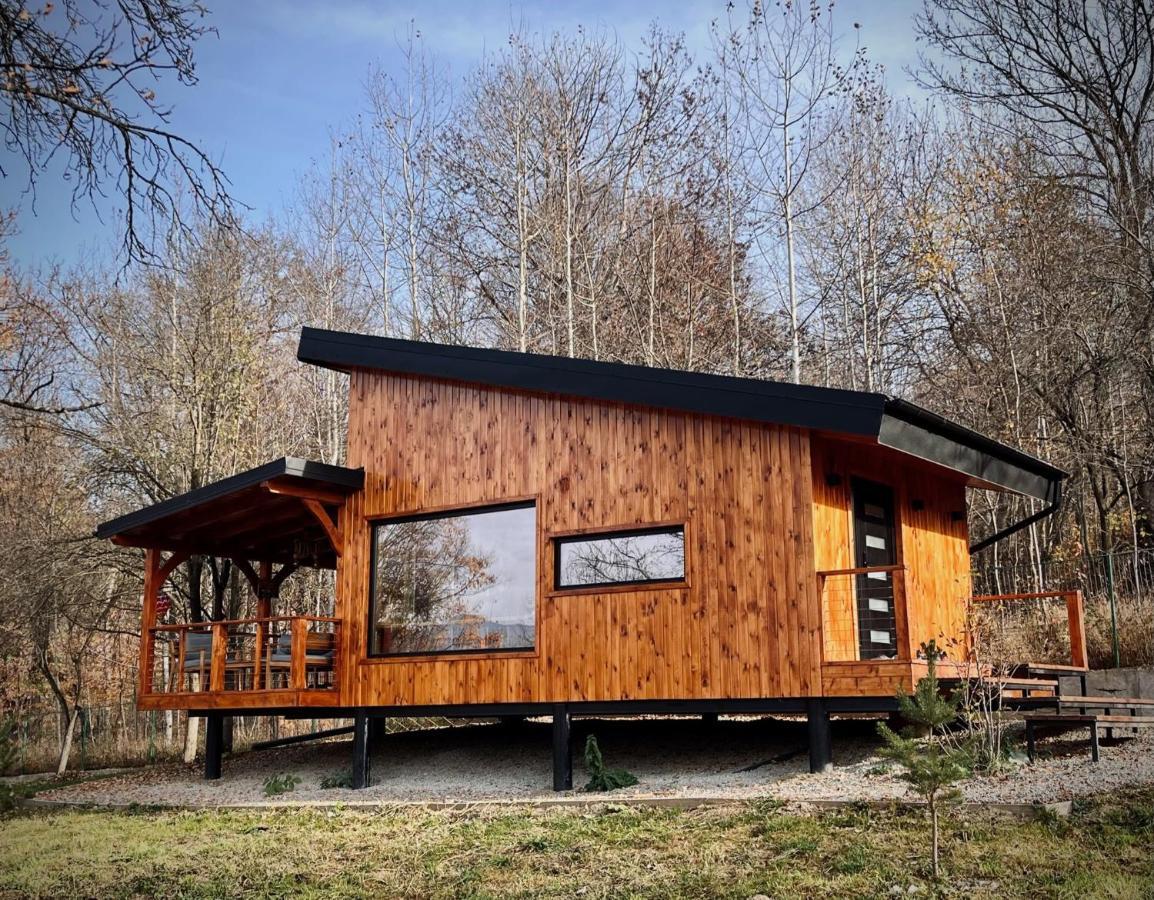 Moodysun Studio, Remote Tiny Home Comarnic Buitenkant foto