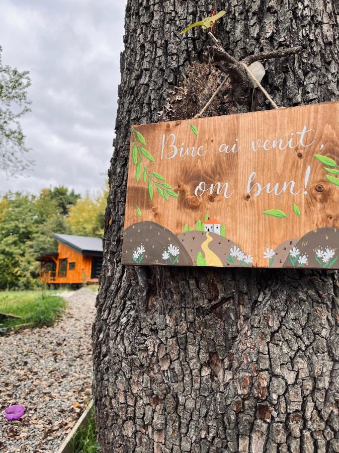 Moodysun Studio, Remote Tiny Home Comarnic Buitenkant foto