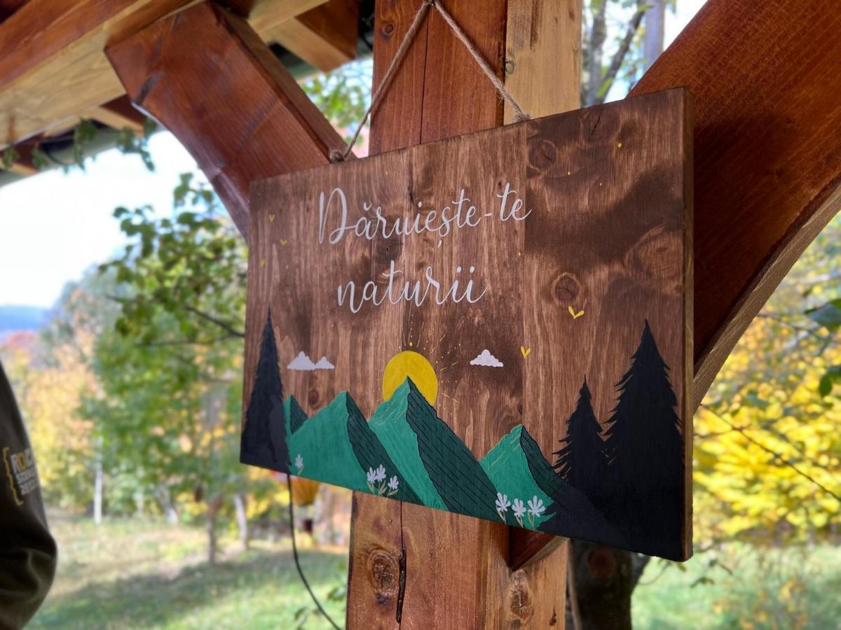 Moodysun Studio, Remote Tiny Home Comarnic Buitenkant foto