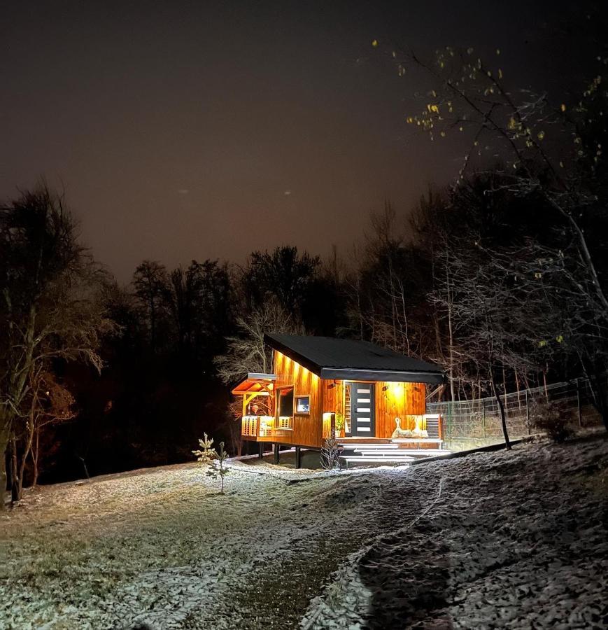 Moodysun Studio, Remote Tiny Home Comarnic Buitenkant foto