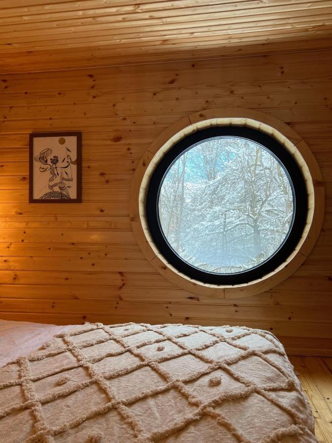 Moodysun Studio, Remote Tiny Home Comarnic Buitenkant foto