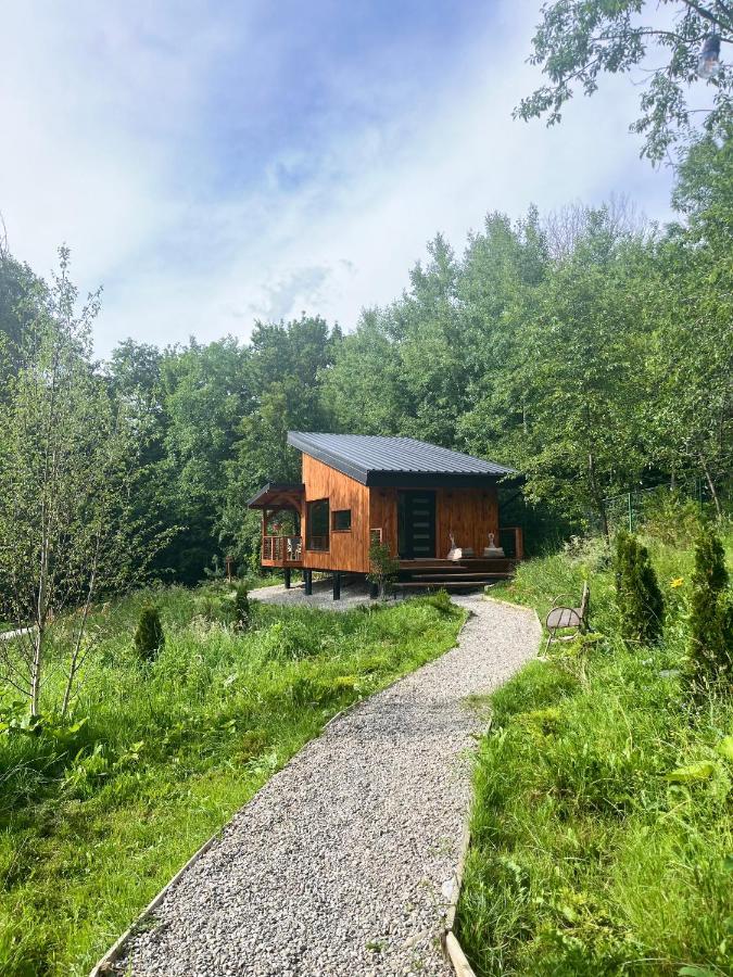 Moodysun Studio, Remote Tiny Home Comarnic Buitenkant foto